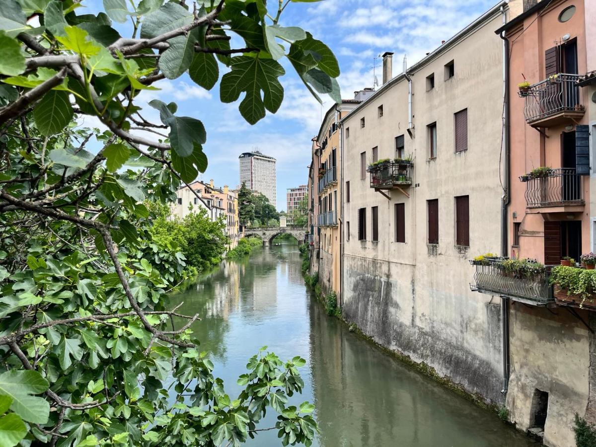 Appartamento Ai Portici Di Via Savonarola Padua Exterior foto